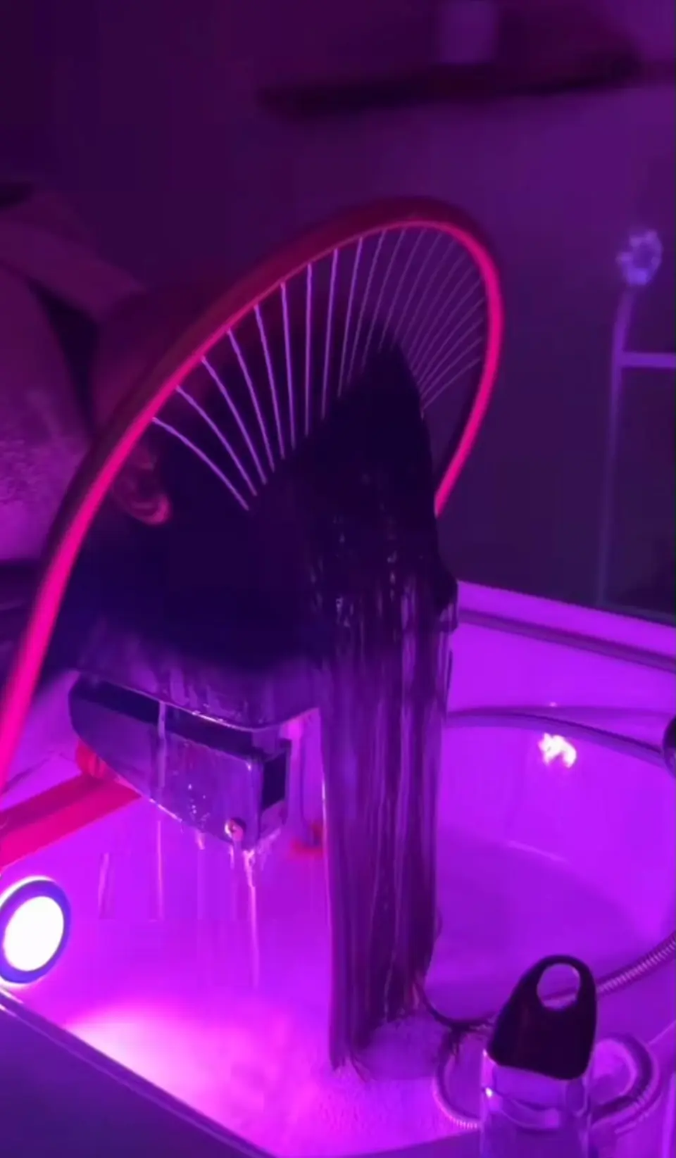 The Korean water-fountain bed at Ally 21